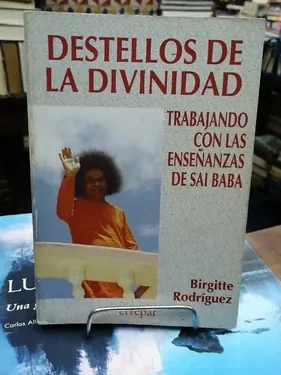 Destellos de la Divinidad - Brigitte Rodriguez - Editorial Erraper