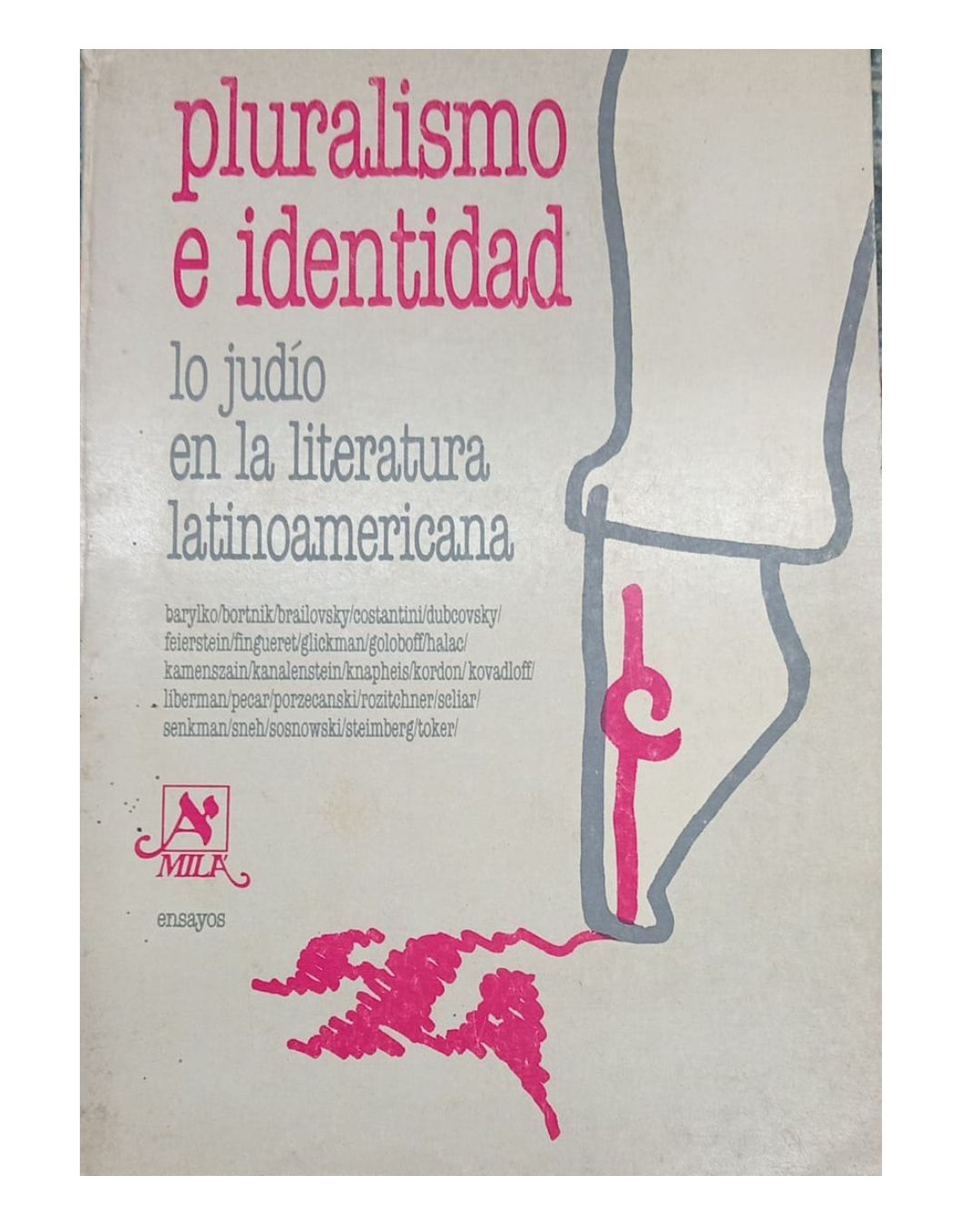 Pluralismo e Identidad Lo Judío En La Literatura Latinoamericana - Varios Autores